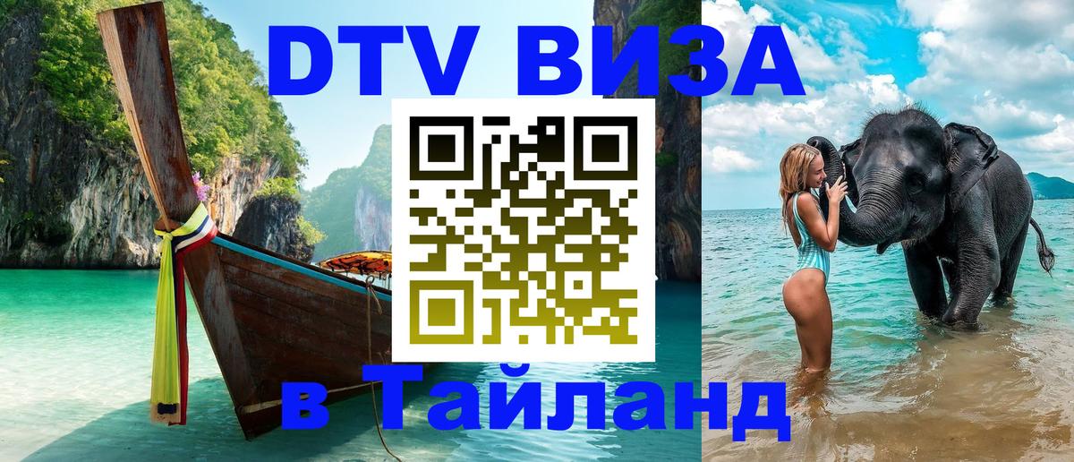 Сколько стоит DTV виза — актуальные цены, оформление даже без документов - Улан-Батор 